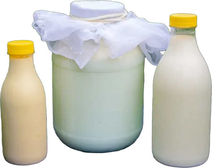 Бутылки с молоком и банка с кисломолочным продуктом — продукция по ТР ТС 033/2013